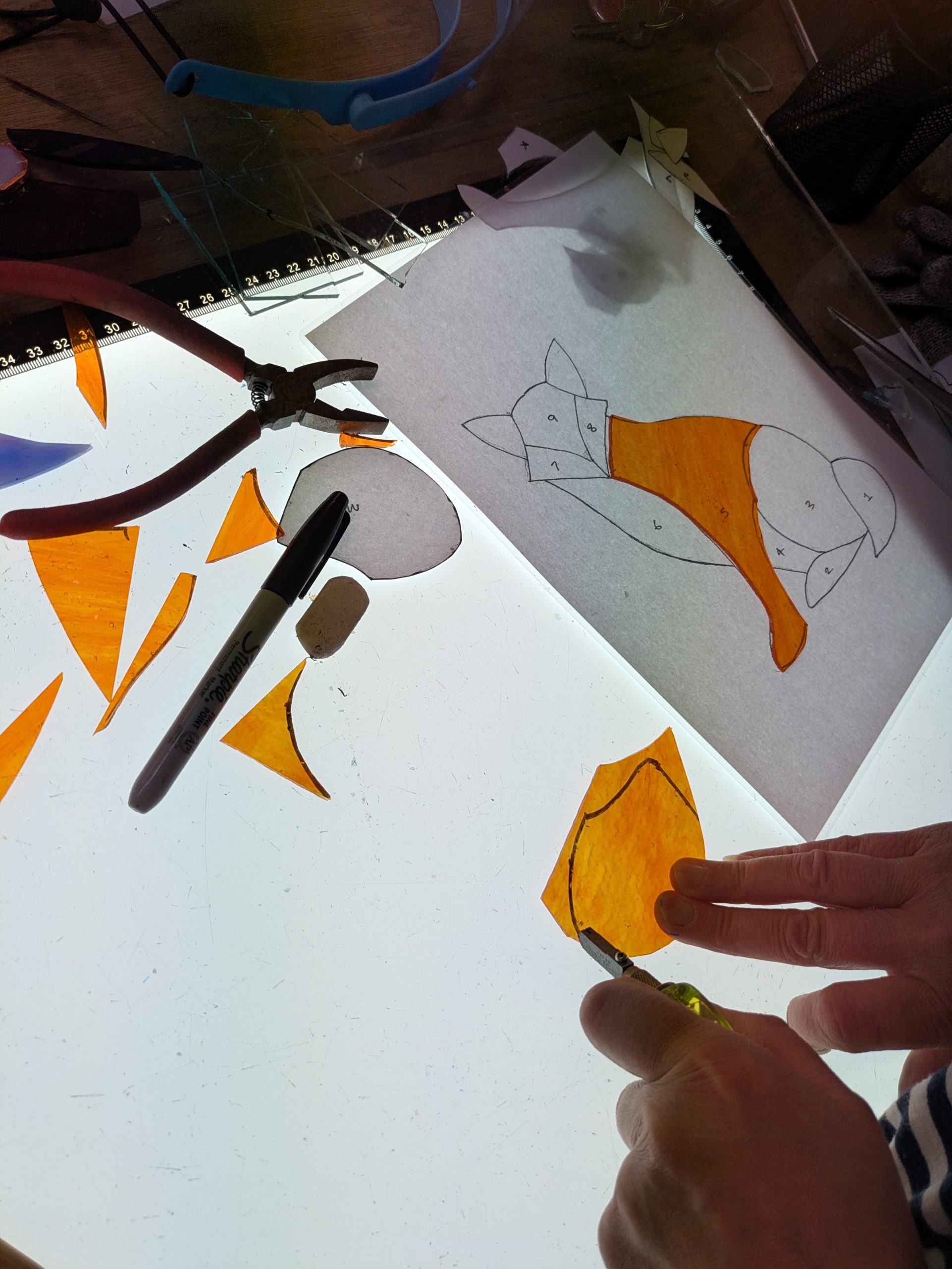 Autumnal Fox Class - Image 2